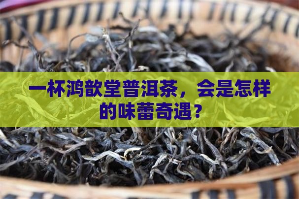 鸿歆堂普洱茶大茶