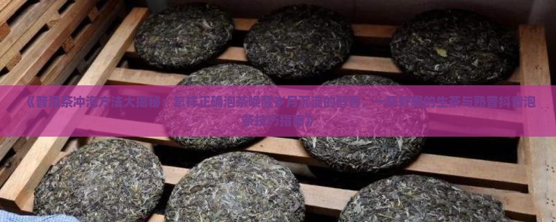 熟普洱茶冲泡技巧要点