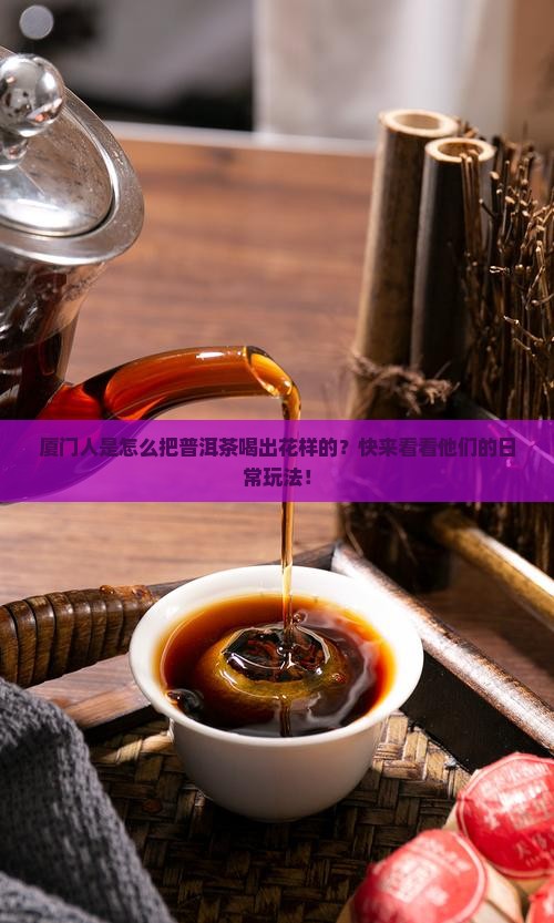 厦门普洱茶日常用法