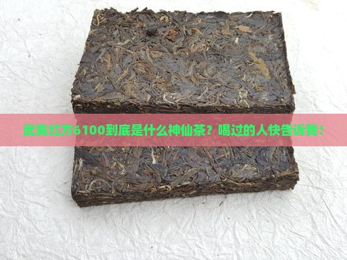 武夷红方6100是什么茶