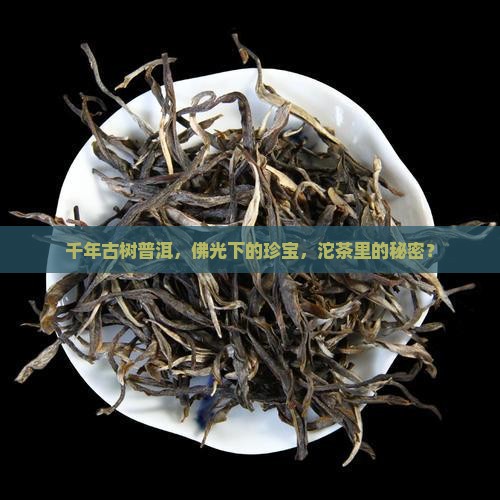 古树普洱茶佛缘宝沱