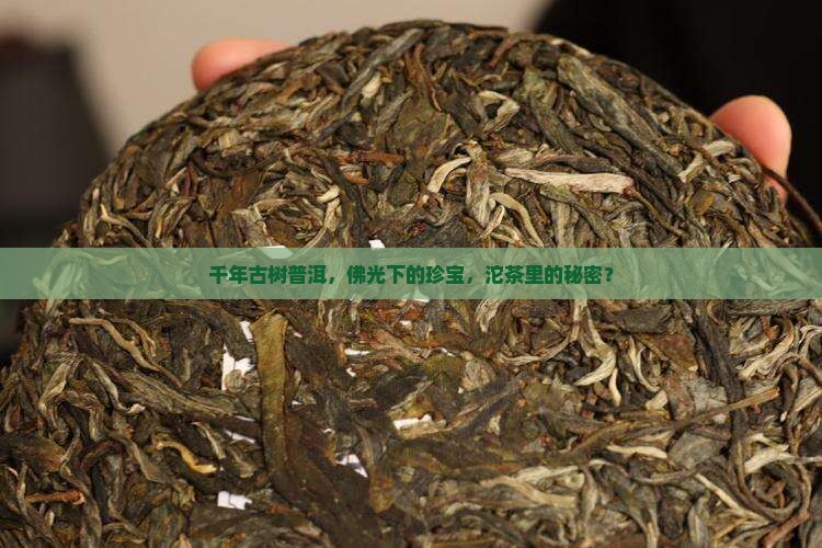 古树普洱茶佛缘宝沱