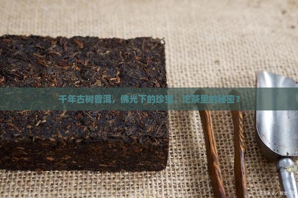 古树普洱茶佛缘宝沱