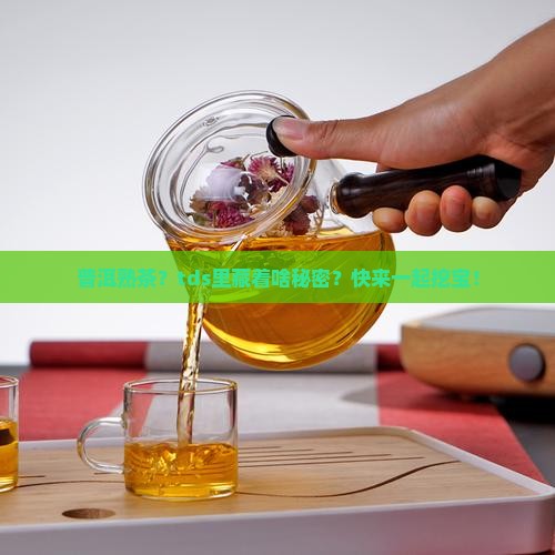 普洱茶熟茶tds