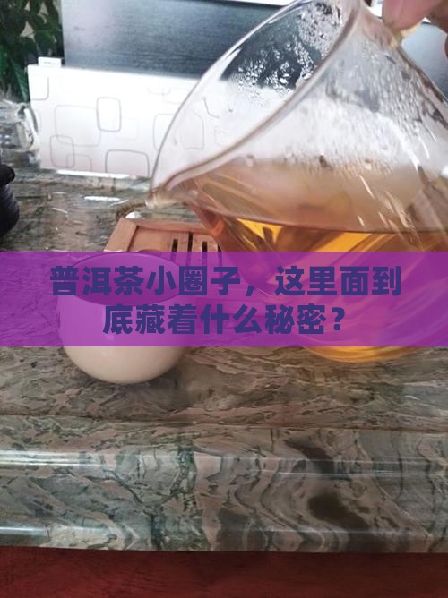 普洱茶小圈子茶