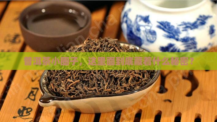 普洱茶小圈子茶