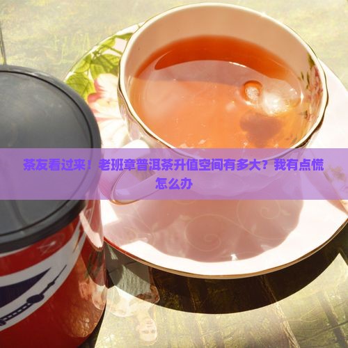 老班章升值空间