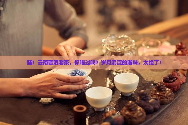 云南普洱茶老茶