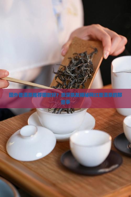 国外普洱茶推荐哪款好