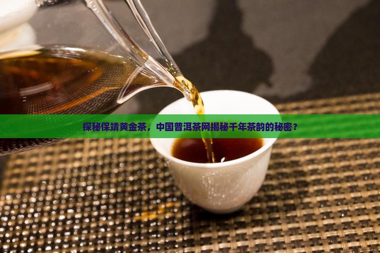 保靖黄金茶中国普洱茶网