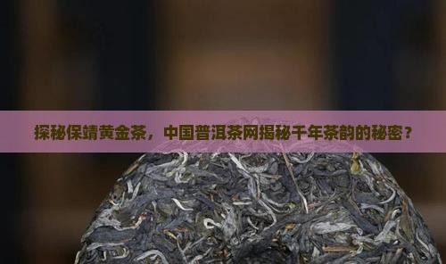 保靖黄金茶中国普洱茶网