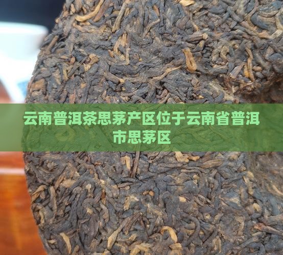 云南普洱茶思茅产区