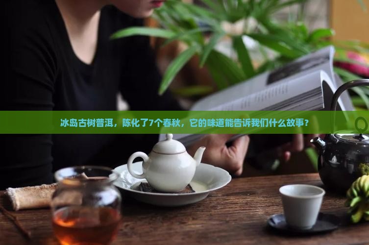 冰岛7年普洱茶多少