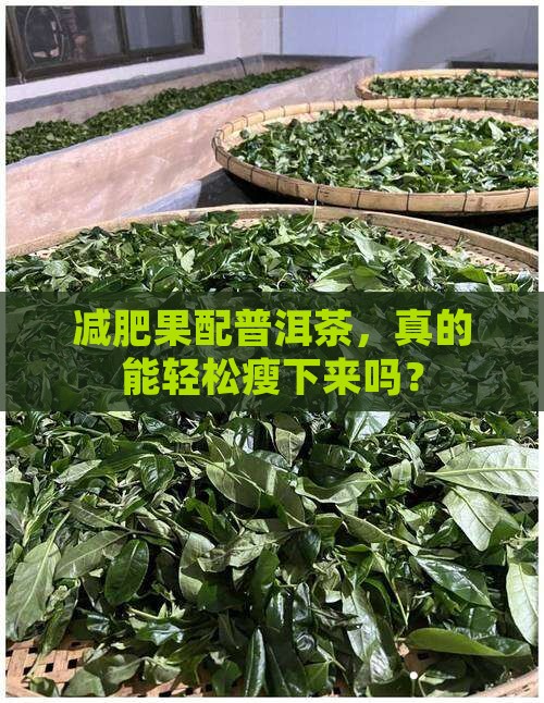 减肥果和普洱茶