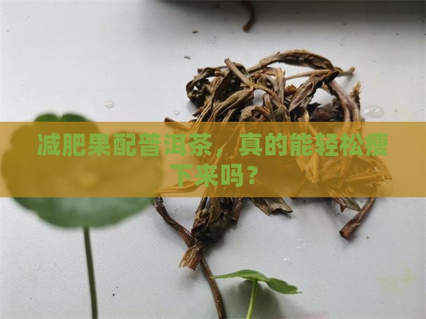 减肥果和普洱茶
