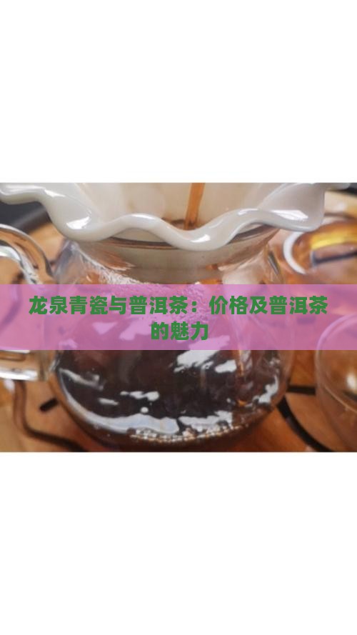 龙泉青瓷普洱茶价格多少