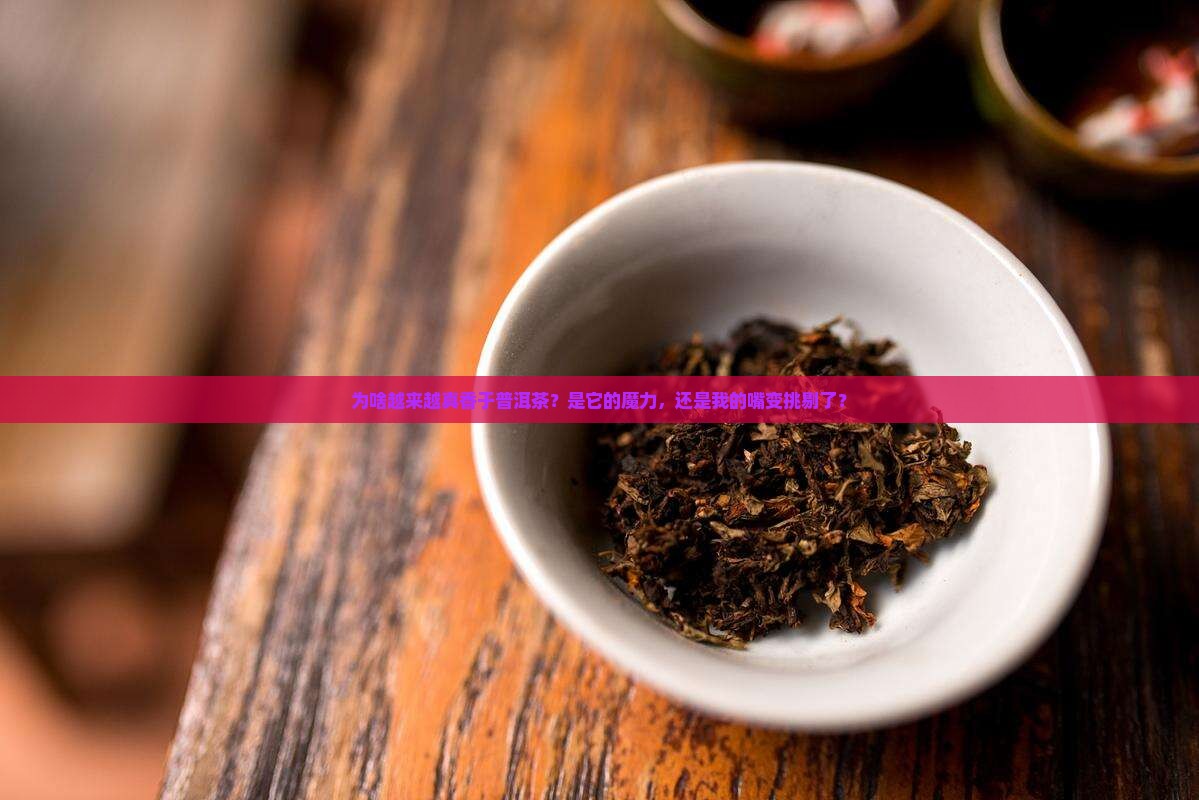 为什么更喜欢普洱茶