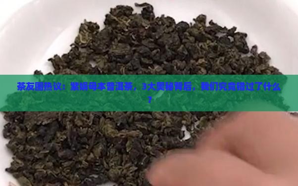 紫娟母本普洱茶