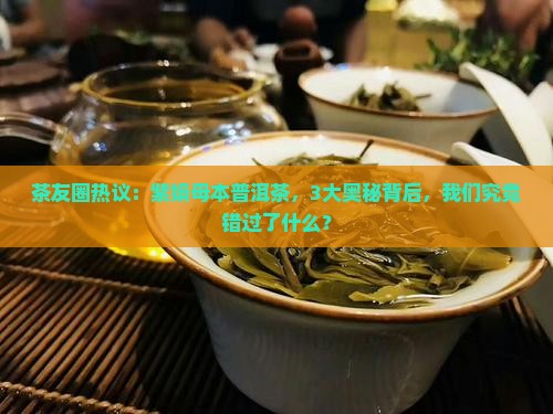 紫娟母本普洱茶
