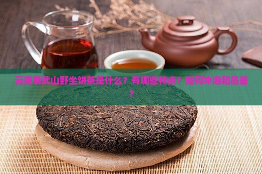 云南易武山野坐饼茶 云南易武山野坐饼茶