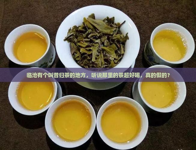 临沧昔归茶帅哥