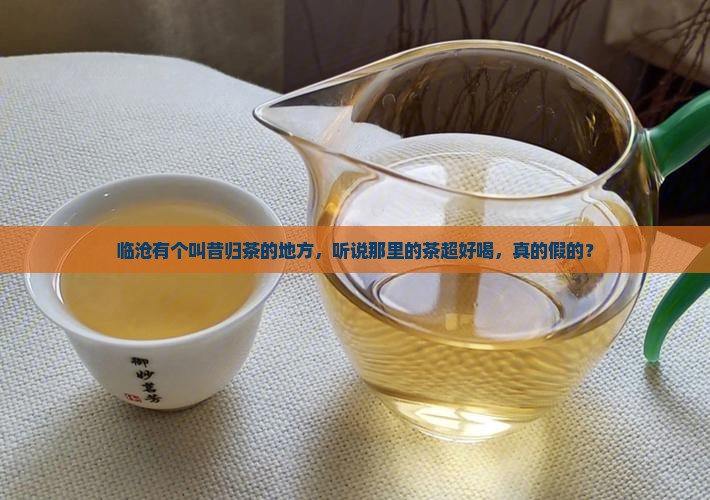 临沧昔归茶帅哥