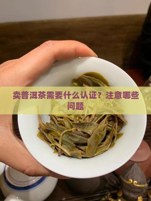卖普洱茶需要什么认证