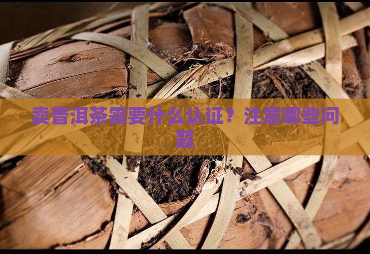 卖普洱茶需要什么认证