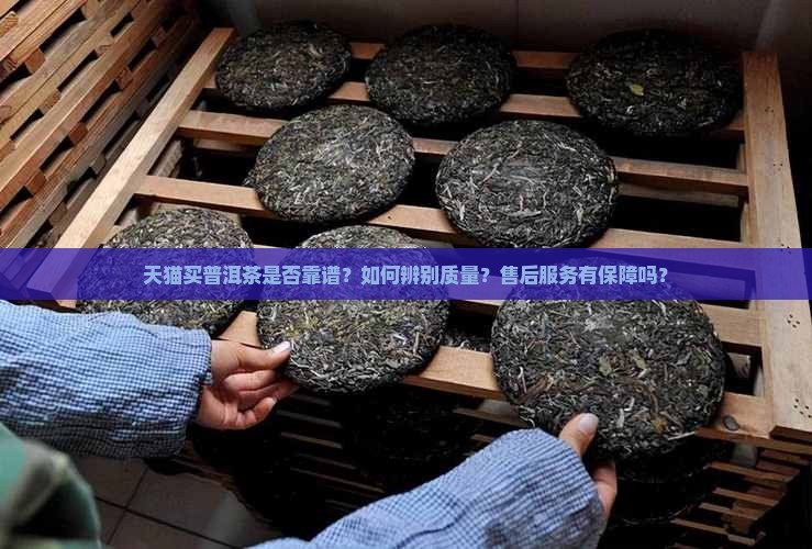 天猫买普洱茶是否靠谱
