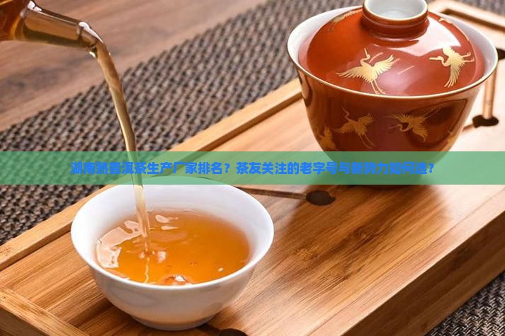 湖南熟普洱茶生产厂家排名
