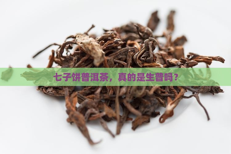 七子饼普洱茶是生普