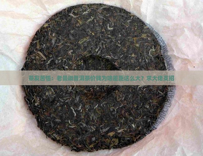 老曼峨普洱茶价钱