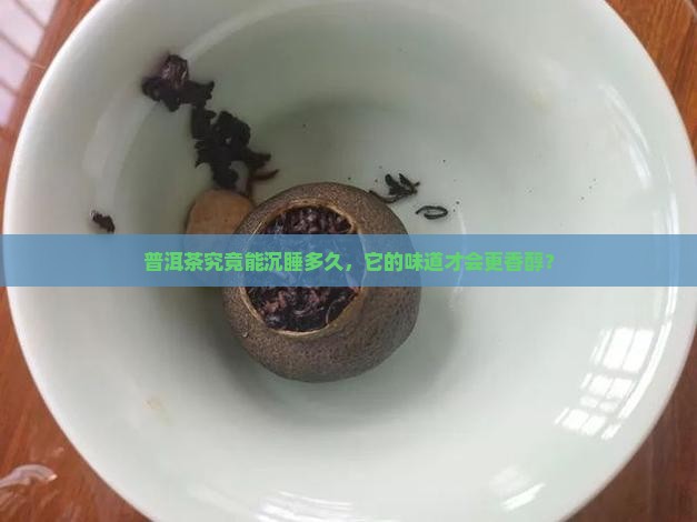 普洱茶可以贮存多久