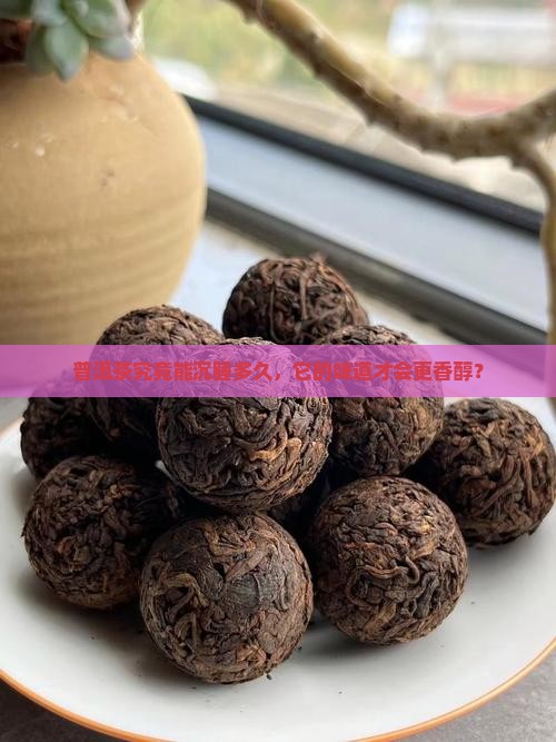 普洱茶可以贮存多久