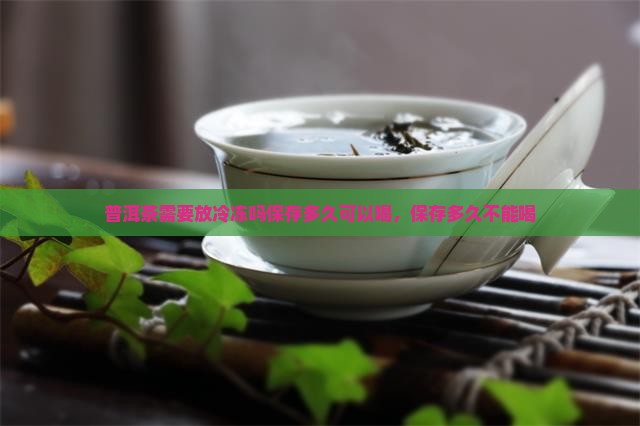 普洱茶需要放冷冻吗吗保存多久