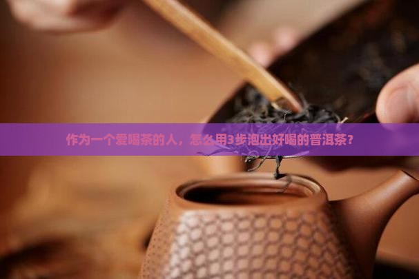 普洱茶泡茶怎么做才好喝