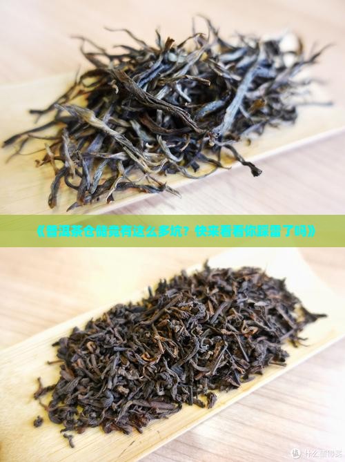 普洱茶仓储八大问题