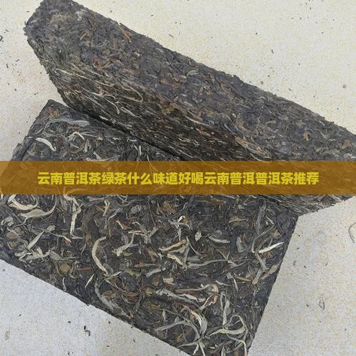 云南普洱茶绿茶什么味好喝