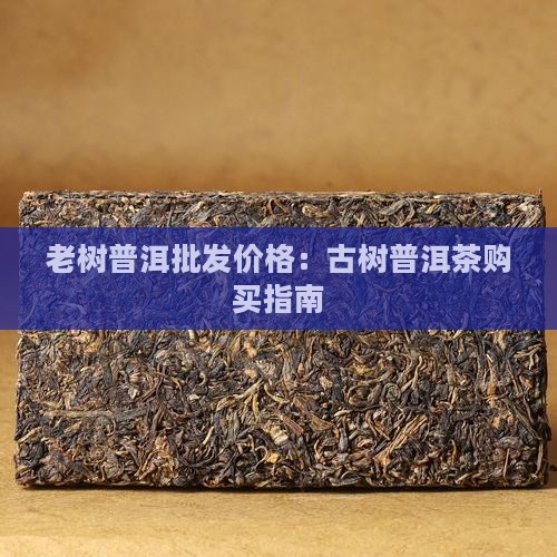老树普洱茶怎么购买