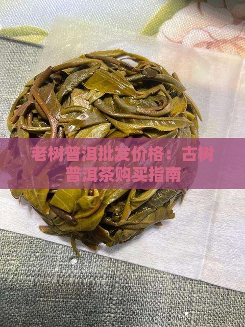 老树普洱茶怎么购买