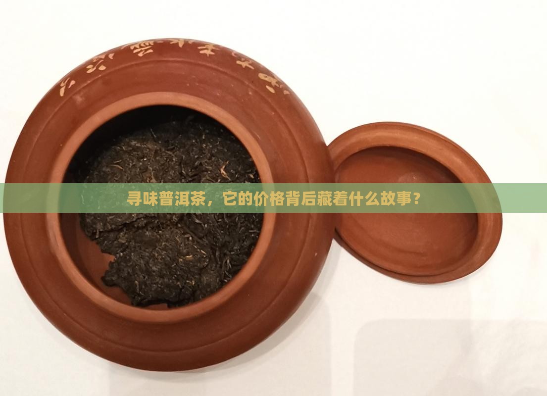 寻味普洱茶多少钱