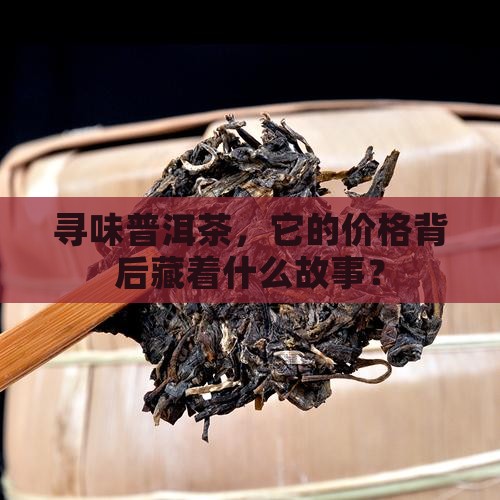 寻味普洱茶多少钱