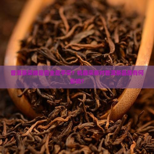 普洱茶采摘都是手采吗吗