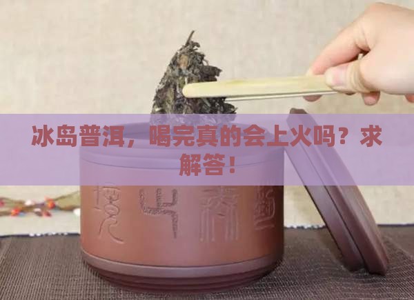 冰岛普洱茶上火吗 冰岛普洱茶上火吗