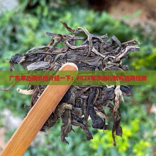 广东单丛茶价格介绍一下 广东单丛茶价格介绍一下