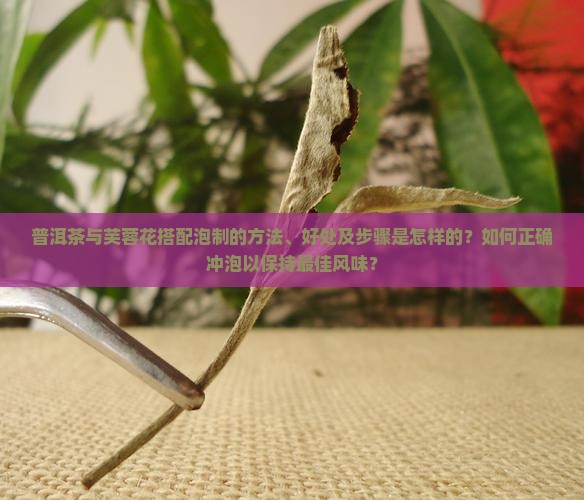 普洱茶泡芙蓉花好吗吗怎么泡