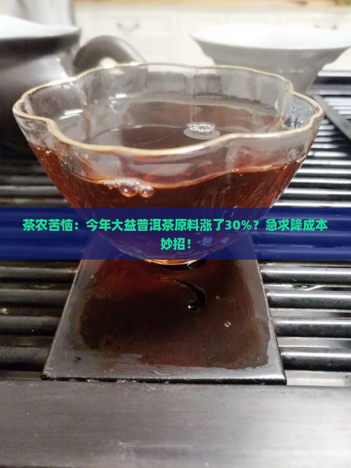 大益普洱茶原料价格 大益普洱茶原料价格