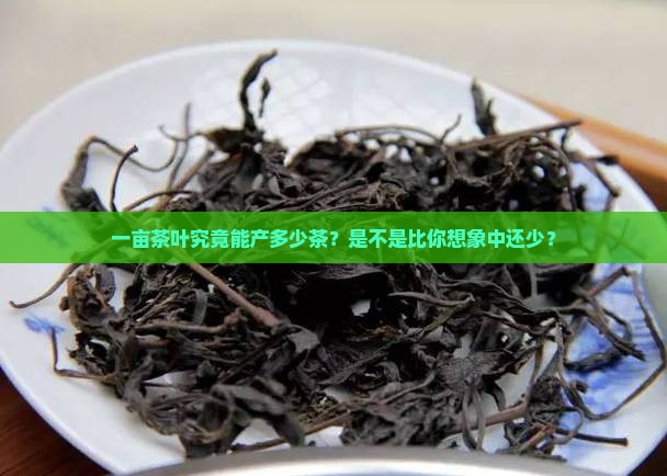 一亩茶叶的产量是多少