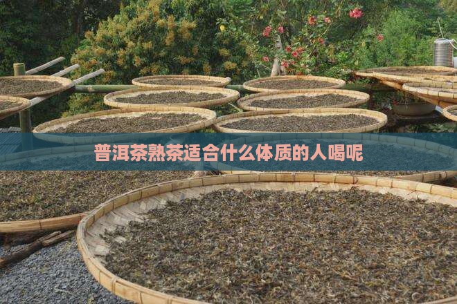 普洱茶熟茶适合什么体质