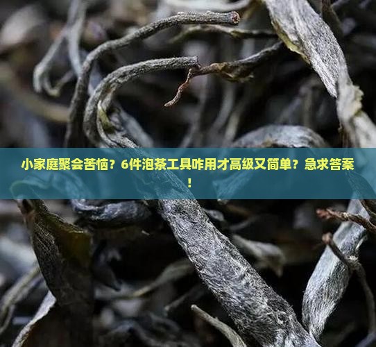 泡茶工具6件怎么用